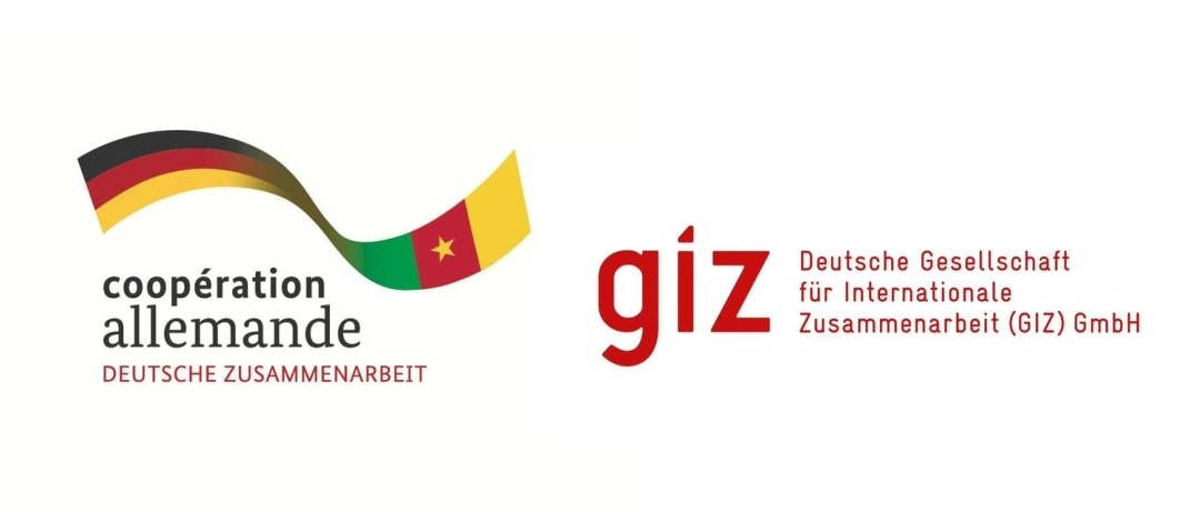 Partenaire 1